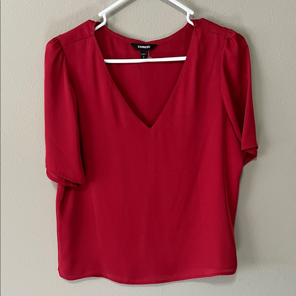 Express Scarlet V-Neck Blouse